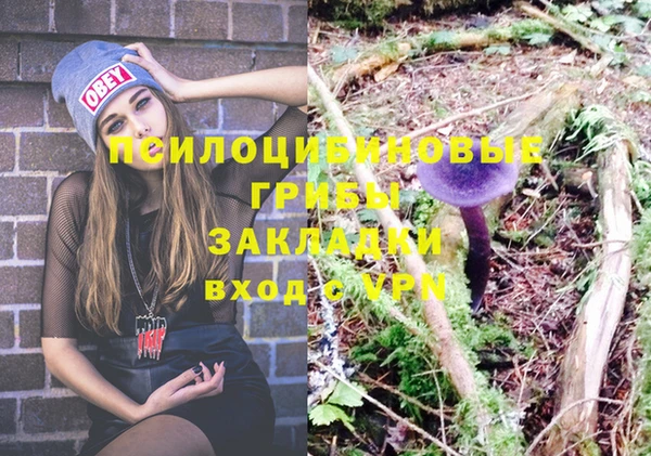 крисы Балахна