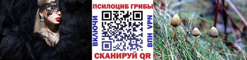 кракен зеркало  Красный Сулин  Псилоцибиновые грибы GOLDEN TEACHER 