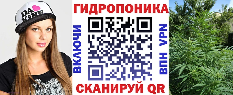 купить наркоту  Красный Сулин  Бошки марихуана OG Kush 